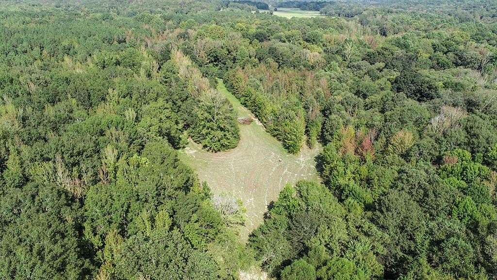 34 Acres of Recreational & Residential Land for Sale in Water Valley, Mississippi