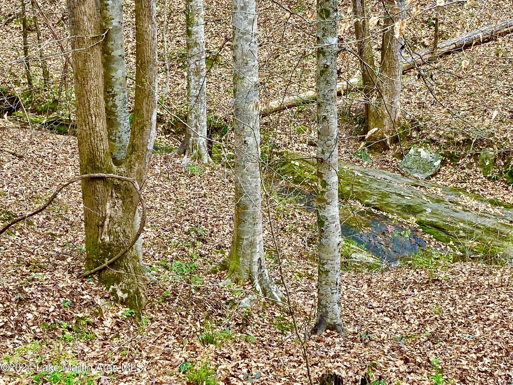 0.59 Acres of Land for Sale in Alexander City, Alabama