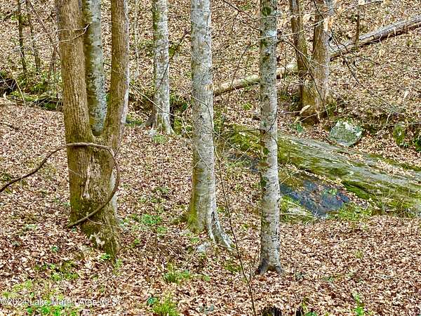 0.59 Acres of Land for Sale in Alexander City, Alabama