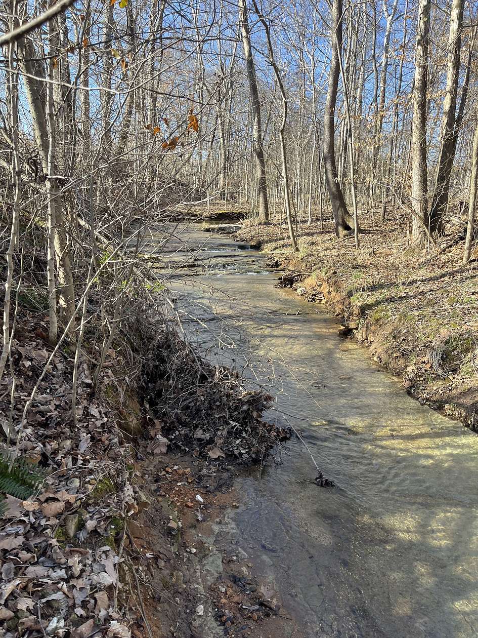 1.5 Acres of Residential Land for Sale in Woodlawn, Tennessee