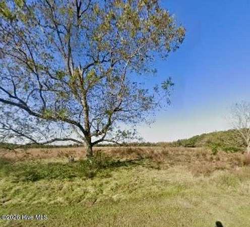 18.8 Acres of Land for Sale in Beulaville, North Carolina