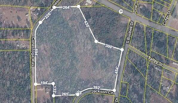 15.5 Acres of Land for Sale in Wagener, South Carolina