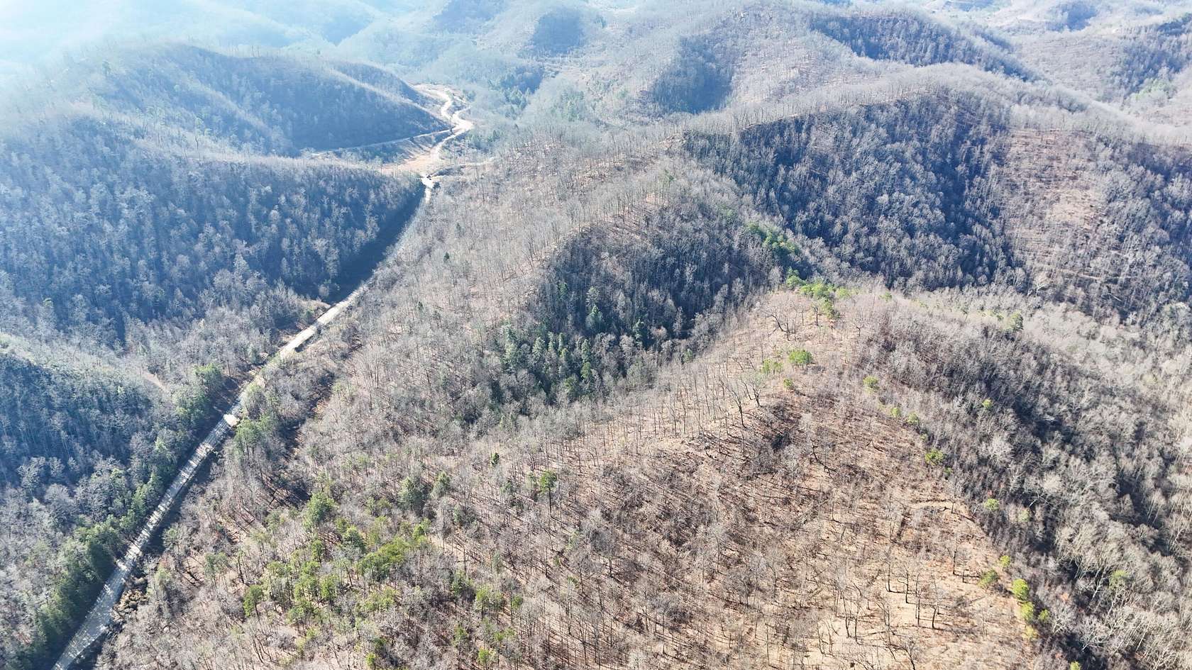 42 Acres of Recreational Land for Sale in Yeaddiss, Kentucky