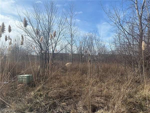 0.03 Acres of Residential Land for Sale in Lorain, Ohio