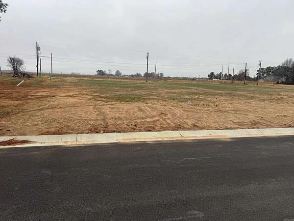 0.26 Acres of Residential Land for Sale in Lake City, Arkansas
