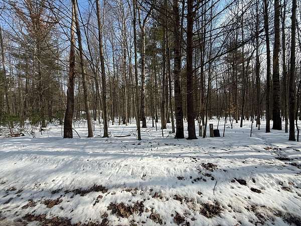 0.42 Acres of Land for Sale in Canadian Lakes, Michigan