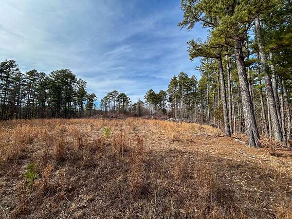 5.3 Acres of Residential Land for Sale in Willow Springs, Missouri