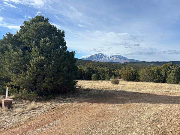 45 Acres of Land for Sale in Walsenburg, Colorado