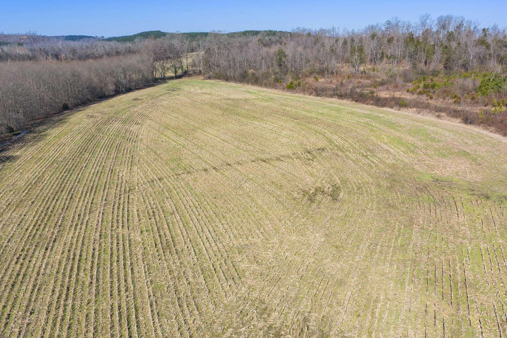 50.5 Acres of Land for Sale in Decaturville, Tennessee