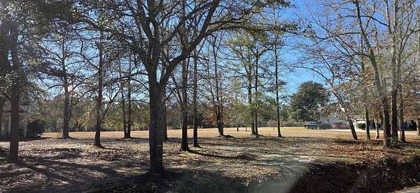 1 Acre of Residential Land for Sale in Georgetown, South Carolina