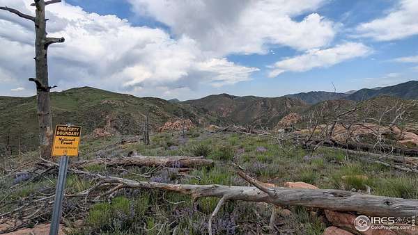 1.46 Acres of Land for Sale in Livermore, Colorado