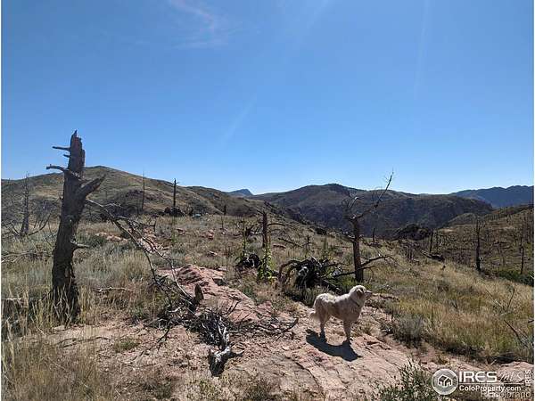 1.46 Acres of Land for Sale in Livermore, Colorado