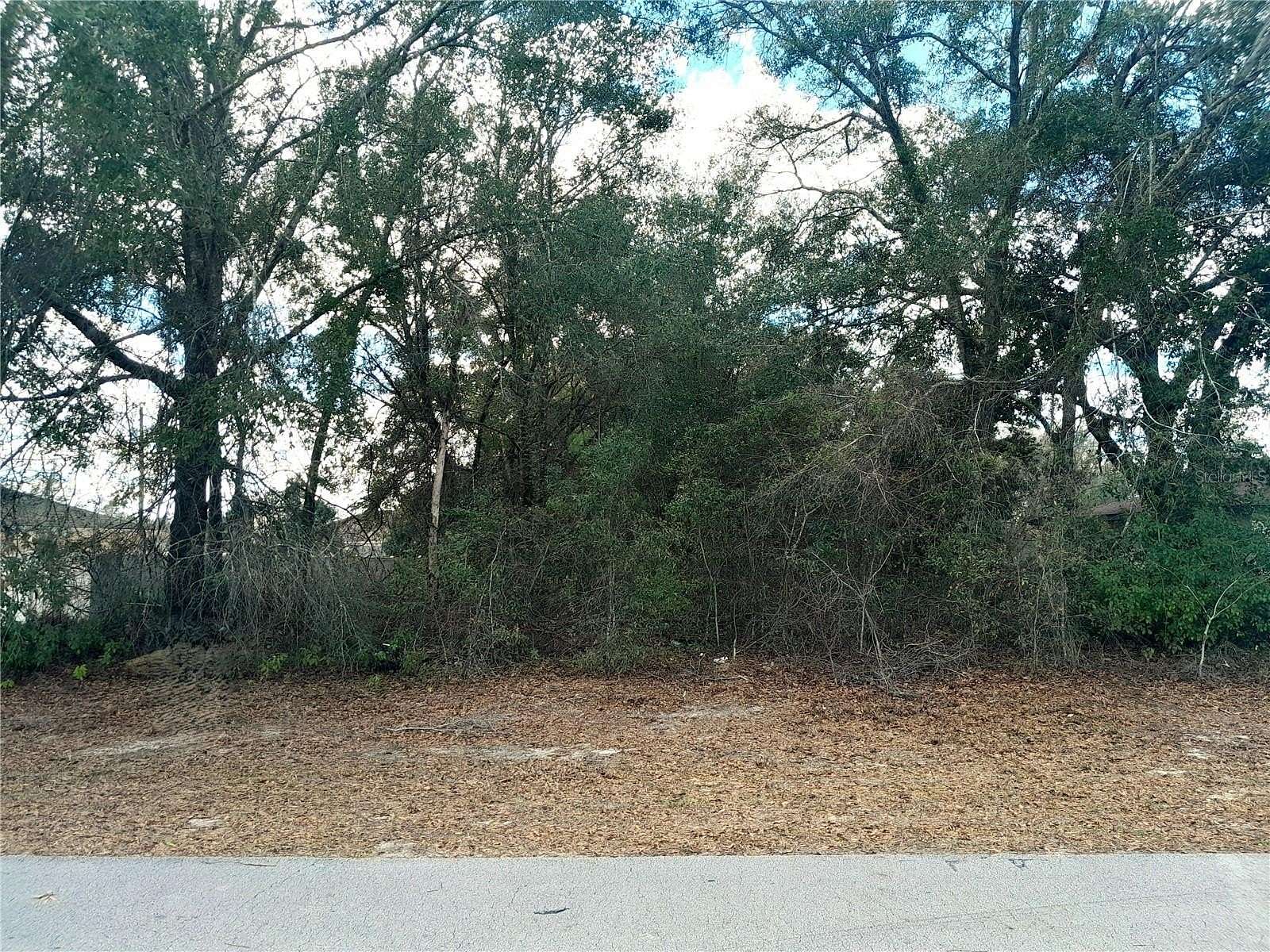 0.23 Acres of Residential Land for Sale in Ocala, Florida