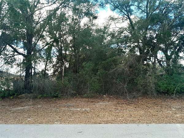 0.23 Acres of Residential Land for Sale in Ocala, Florida