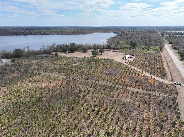 36.2 Acres of Recreational Land with Home for Sale in Donalsonville, Georgia