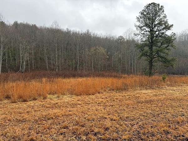 3.29 Acres of Land for Sale in Hiawassee, Georgia