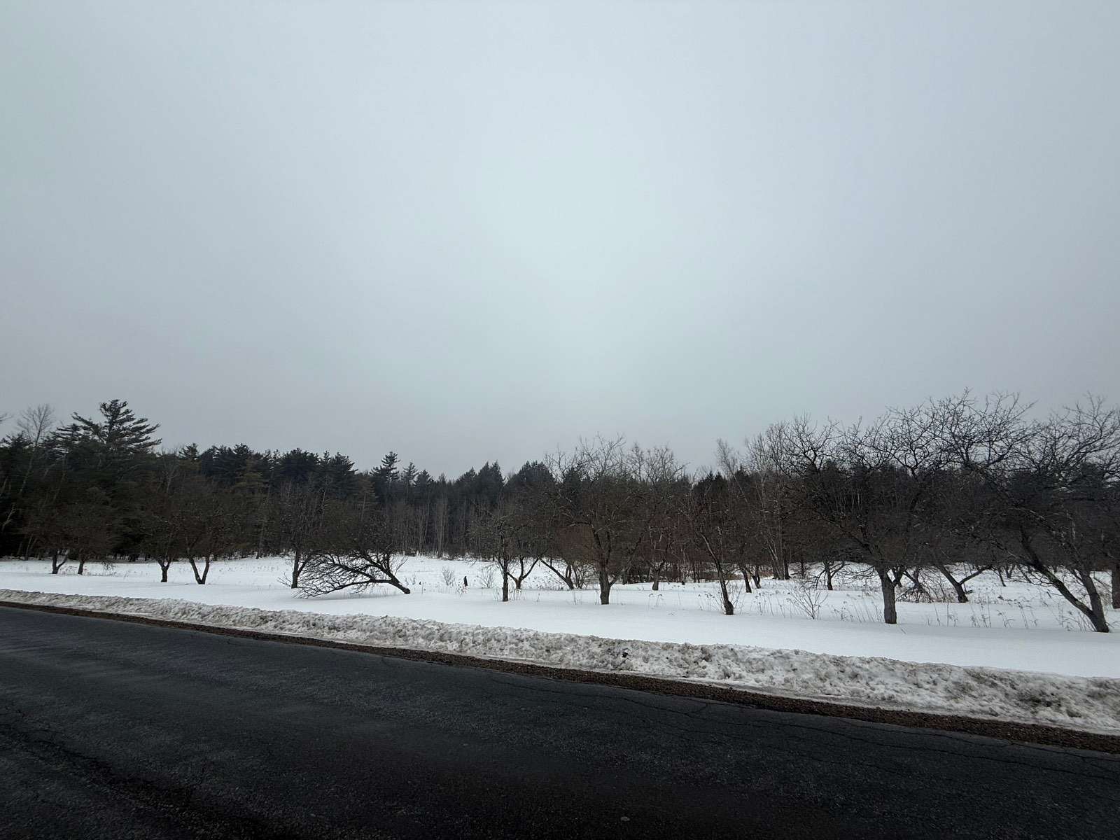 6.75 Acres of Agricultural Land for Sale in Galway, New York