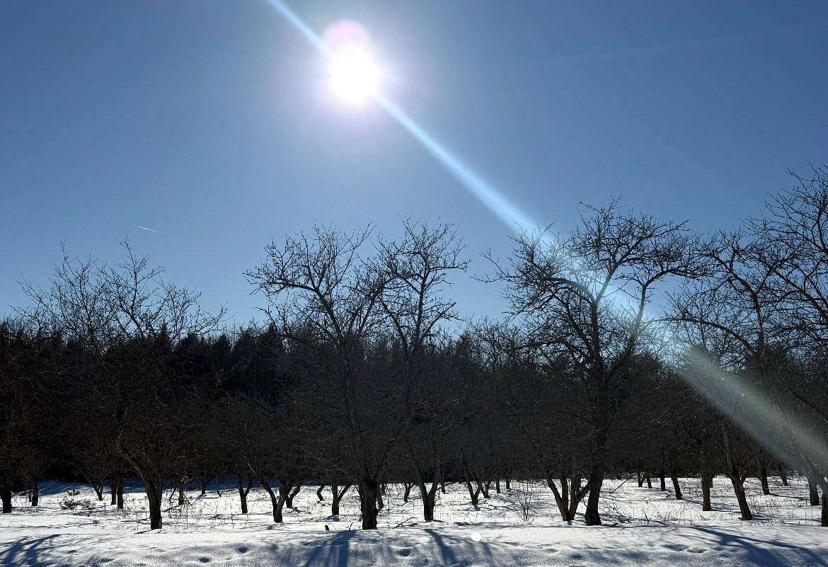 6.75 Acres of Agricultural Land for Sale in Galway, New York