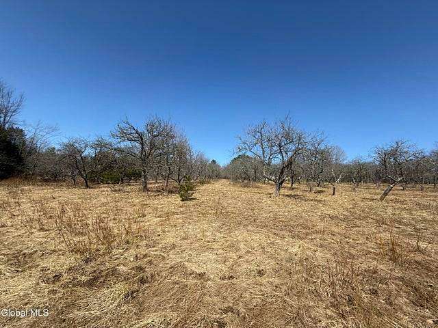 6.75 Acres of Agricultural Land for Sale in Galway, New York