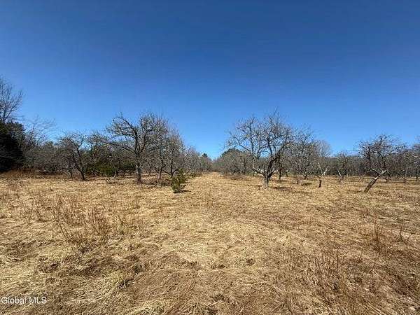 6.75 Acres of Agricultural Land for Sale in Galway, New York