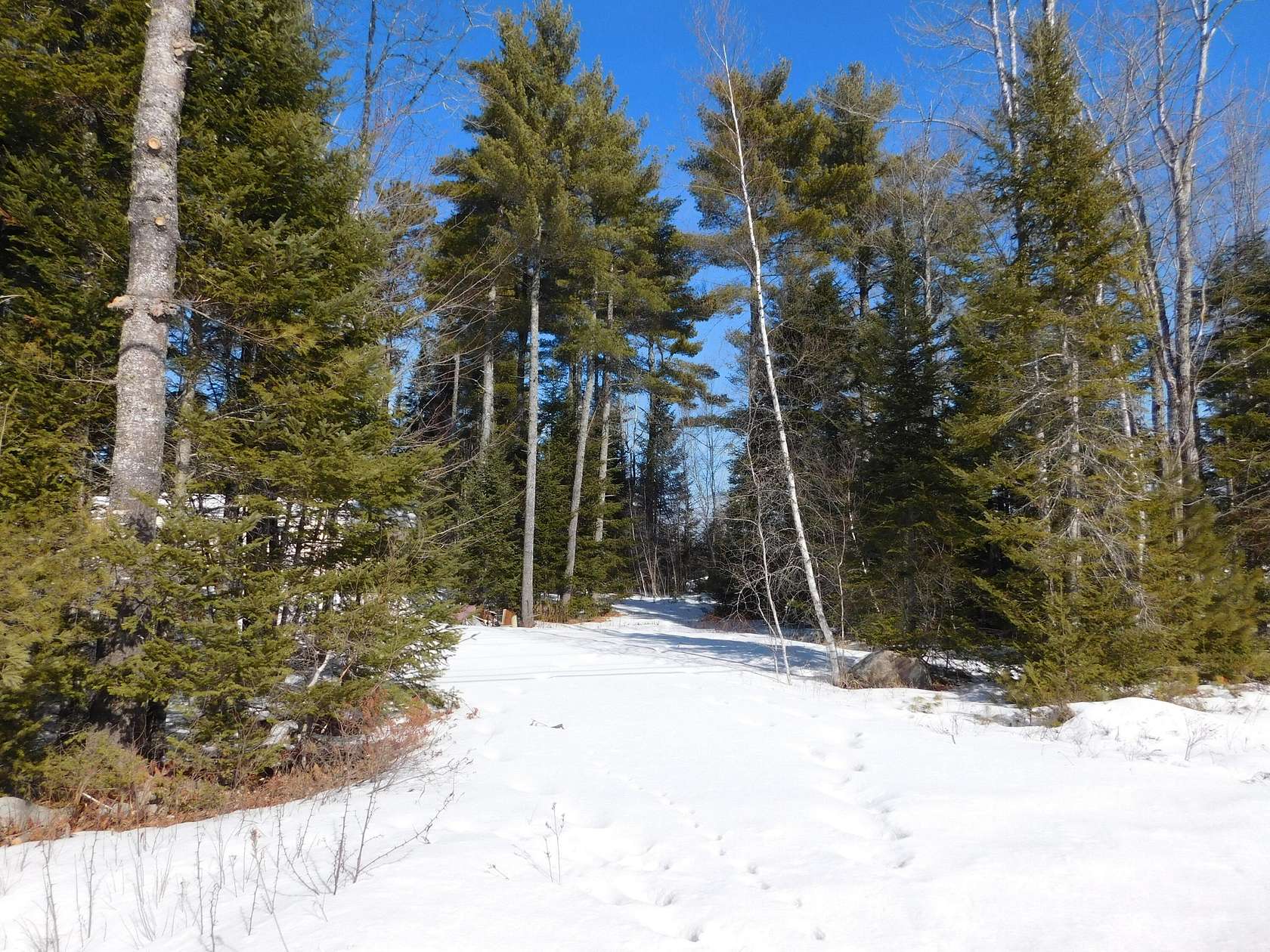 2 Acres of Residential Land for Sale in Greenbush, Maine