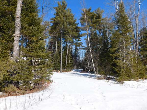 2 Acres of Residential Land for Sale in Greenbush, Maine