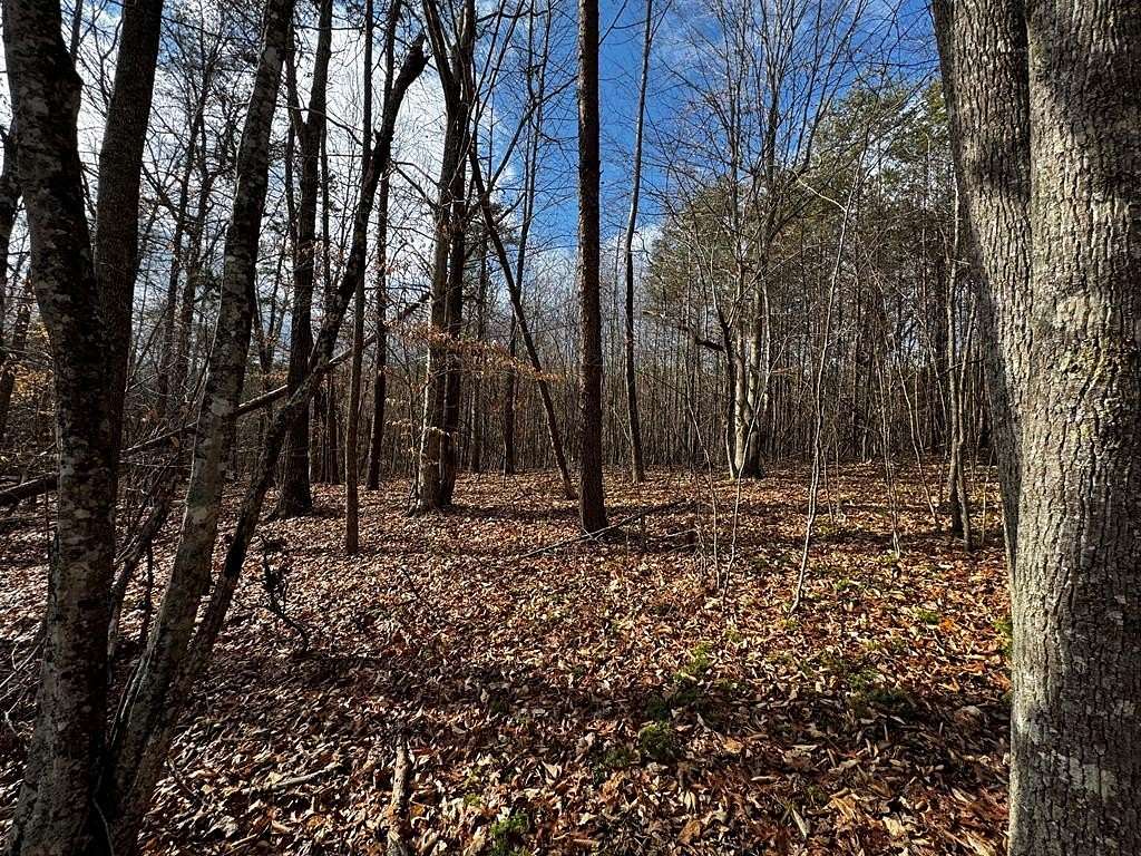 75.4 Acres of Recreational Land for Sale in Brookneal, Virginia