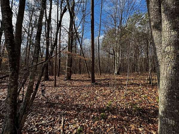 75.4 Acres of Recreational Land for Sale in Brookneal, Virginia