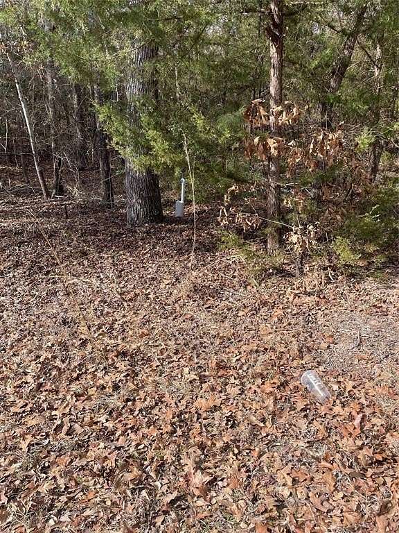 0.66 Acres of Residential Land for Sale in Murchison, Texas