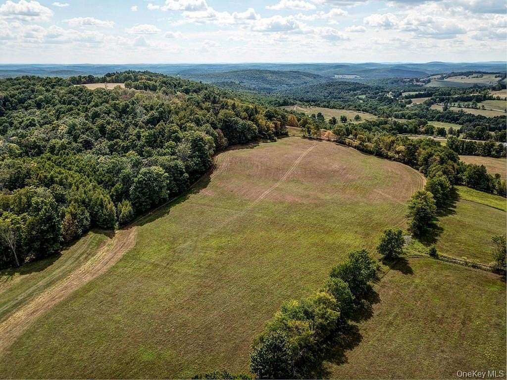 23.6 Acres of Land for Sale in Callicoon, New York