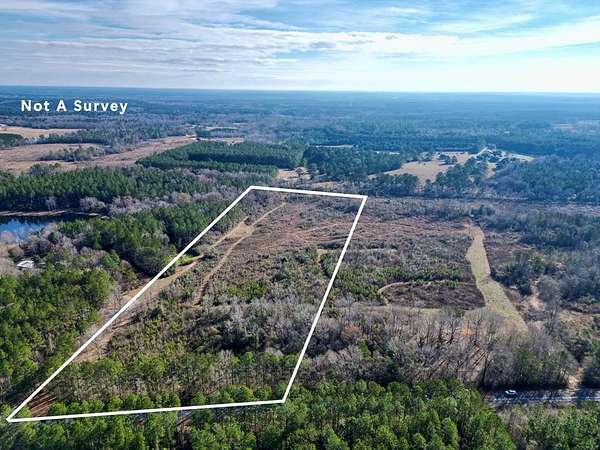 17.5 Acres of Recreational & Residential Land for Sale in Poplarville, Mississippi