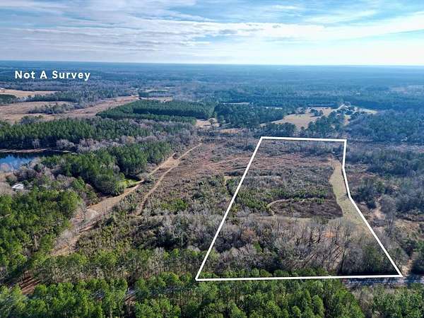 17.5 Acres of Recreational & Residential Land for Sale in Poplarville, Mississippi