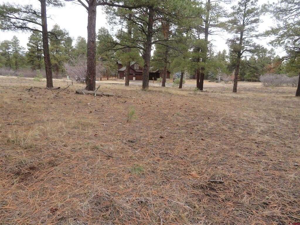 0.99 Acres of Residential Land for Sale in Pagosa Springs, Colorado