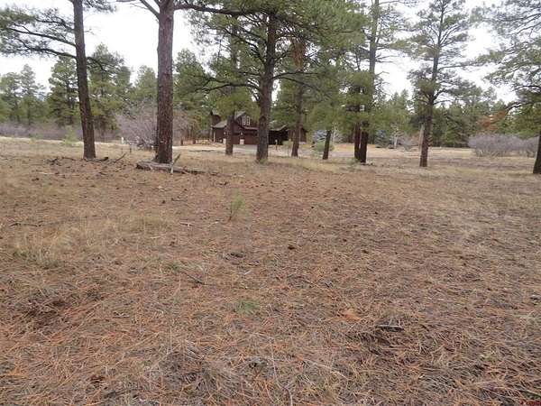 0.99 Acres of Land for Sale in Pagosa Springs, Colorado