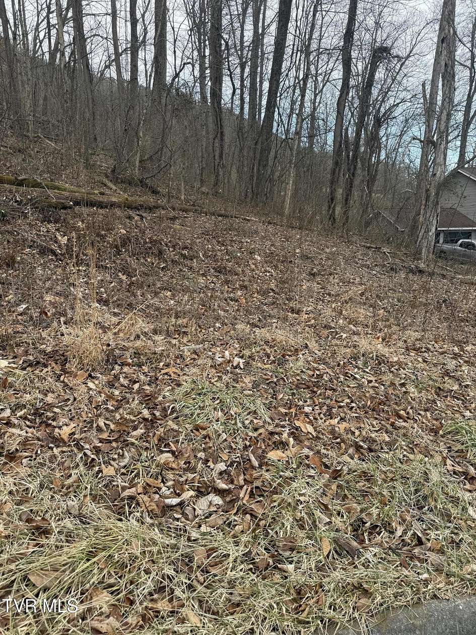 0.43 Acres of Residential Land for Sale in Kingsport, Tennessee