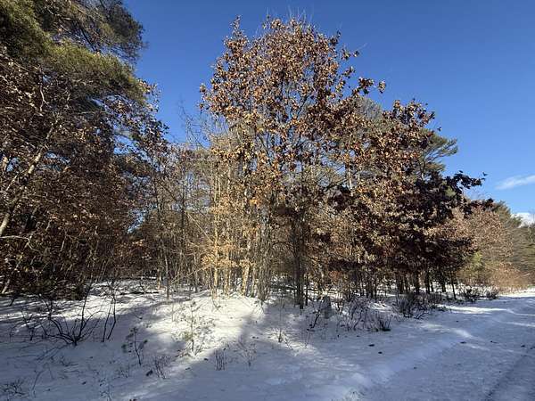 1.39 Acres of Land for Sale in Stanwood, Michigan