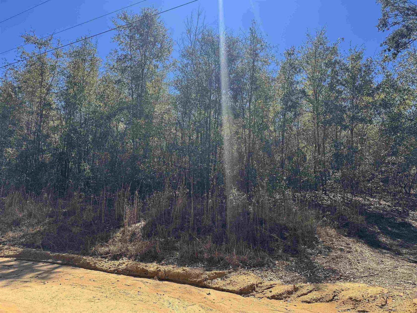 6.18 Acres of Land for Sale in Pinetta, Florida