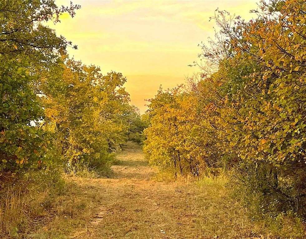 10 Acres of Land for Sale in Weatherford, Texas