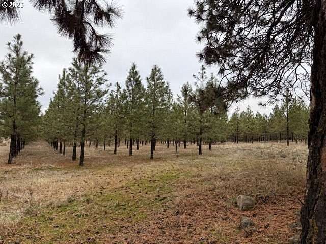 5 Acres of Residential Land for Sale in Goldendale, Washington