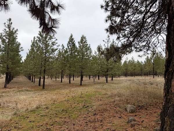 5 Acres of Residential Land for Sale in Goldendale, Washington