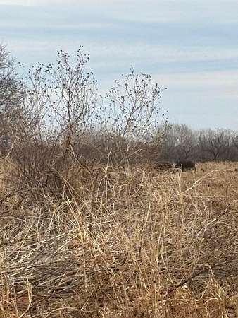 161 Acres of Land for Sale in Childress, Texas