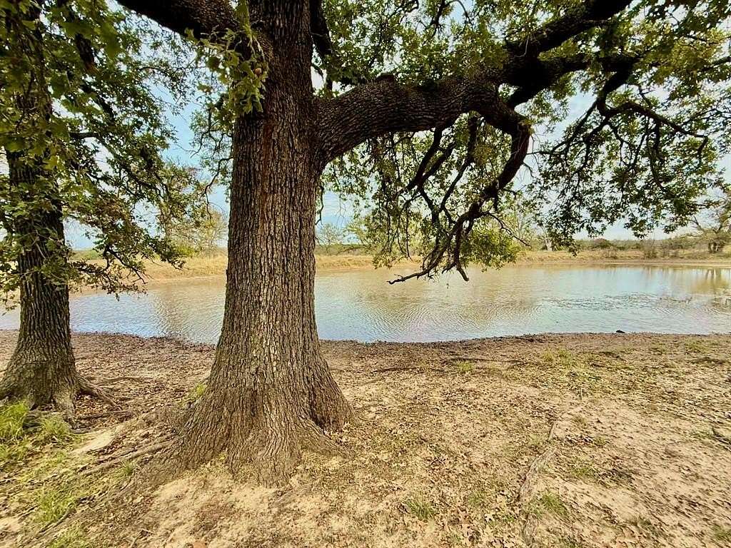 493 Acres of Land for Sale in Hico, Texas