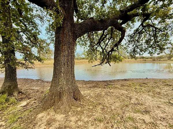 493 Acres of Land for Sale in Hico, Texas
