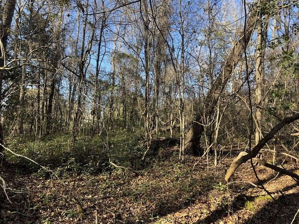 10.7 Acres of Recreational & Residential Land for Sale in Green Sea, South Carolina