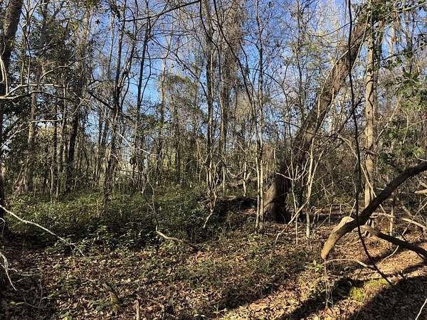10.7 Acres of Recreational & Residential Land for Sale in Green Sea, South Carolina