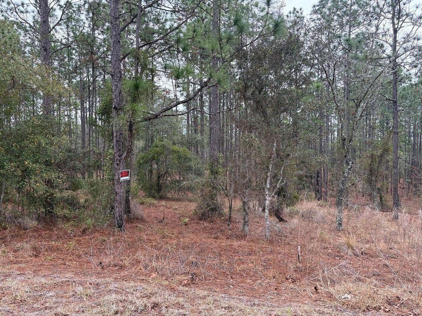 20 Acres of Land for Sale in Dunnellon, Florida