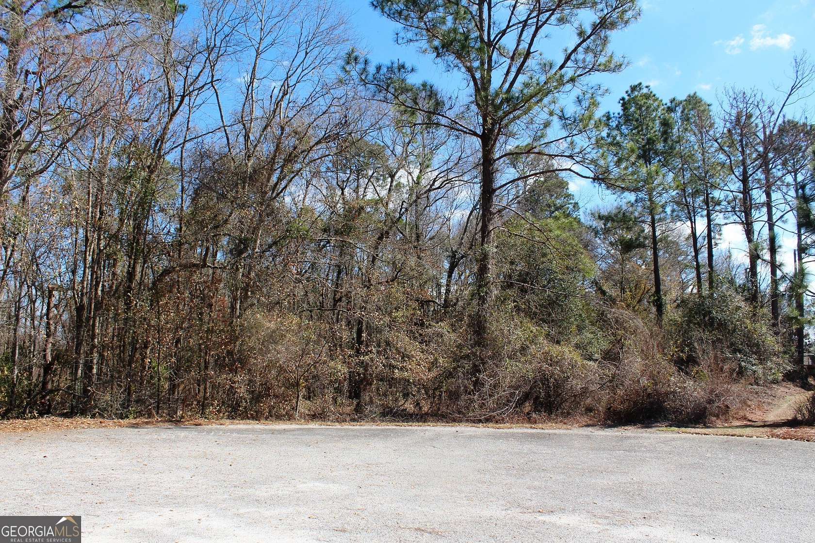 0.77 Acres of Residential Land for Sale in Statesboro, Georgia
