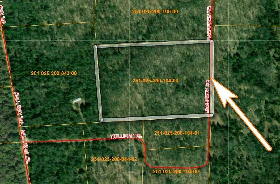 10 Acres of Recreational Land for Sale in Wolverine, Michigan