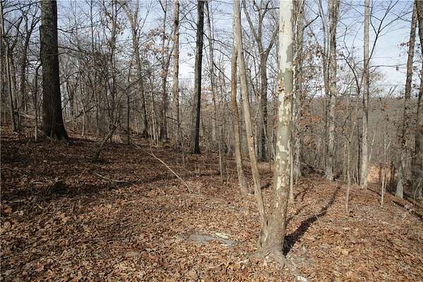 1 Acre of Residential Land for Sale in Bella Vista, Arkansas