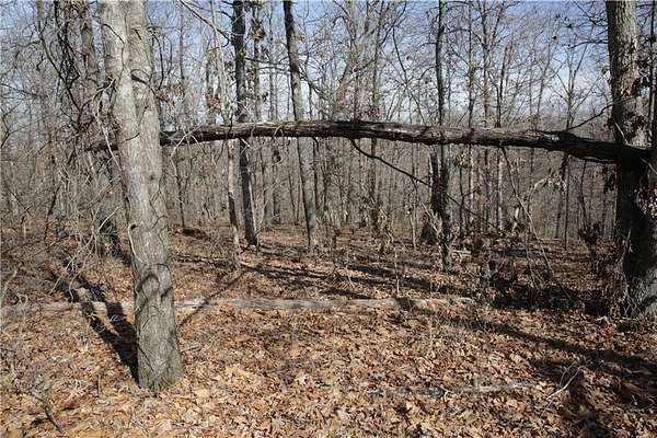 1.47 Acres of Residential Land for Sale in Bella Vista, Arkansas